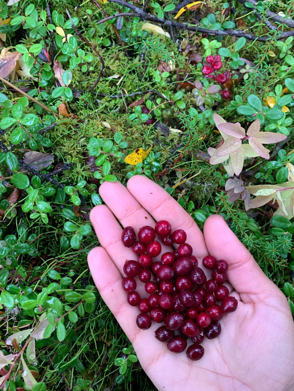 What do you need to&nbsp;grow?