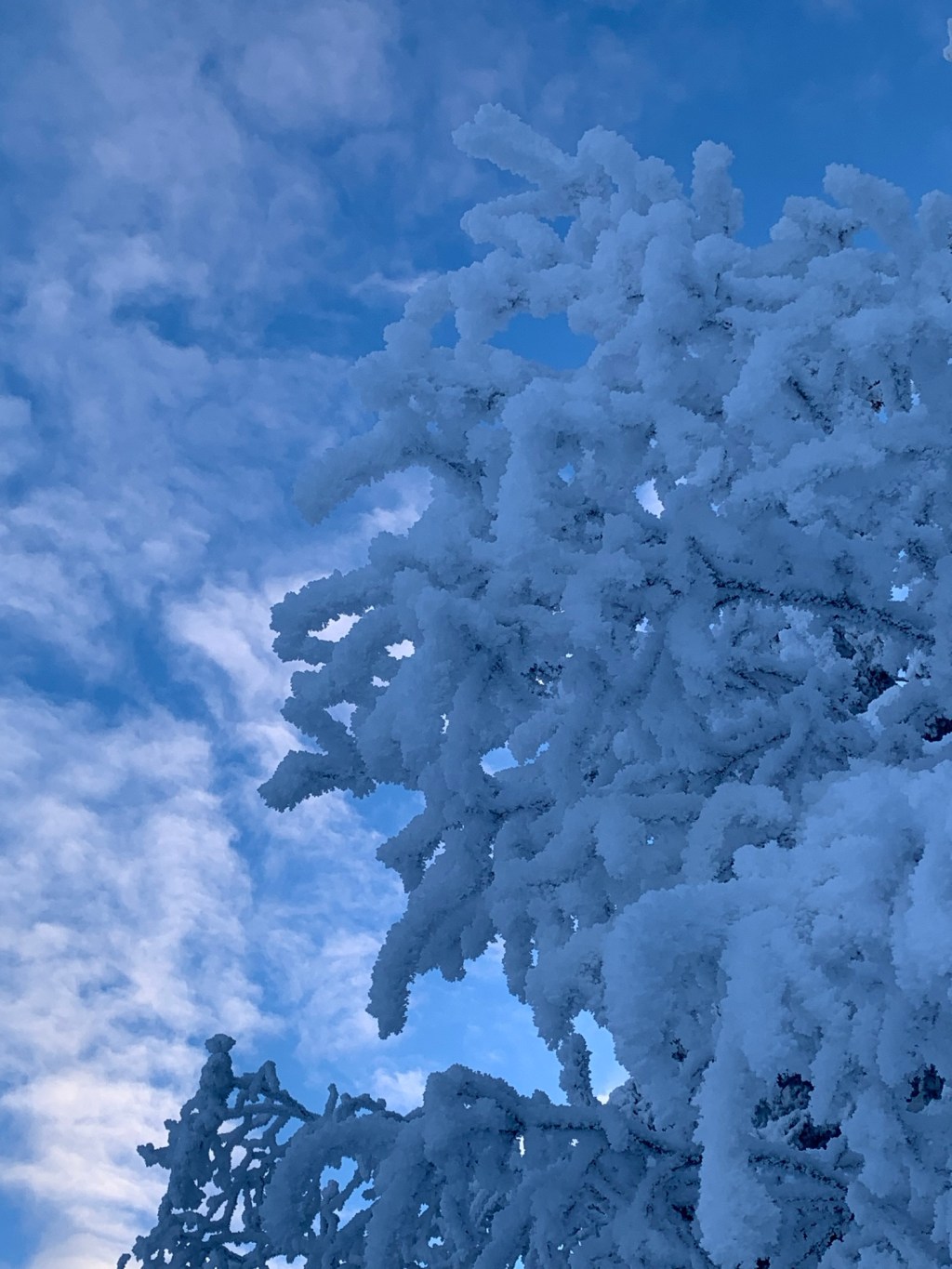 The Lion, The Witch and The&nbsp;Wardrobe