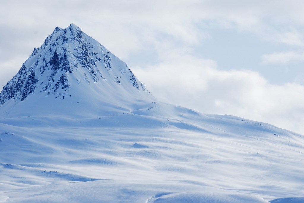 The Woman Who Walks&nbsp;Alone